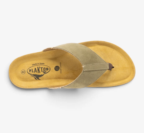 PLAKTON_CHINELO.2_png