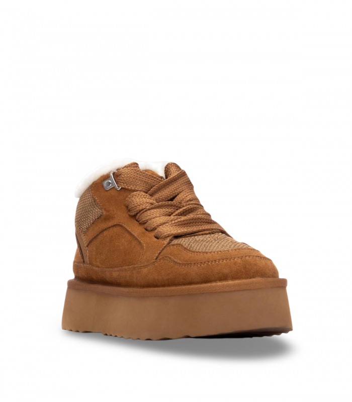 bota camel.4